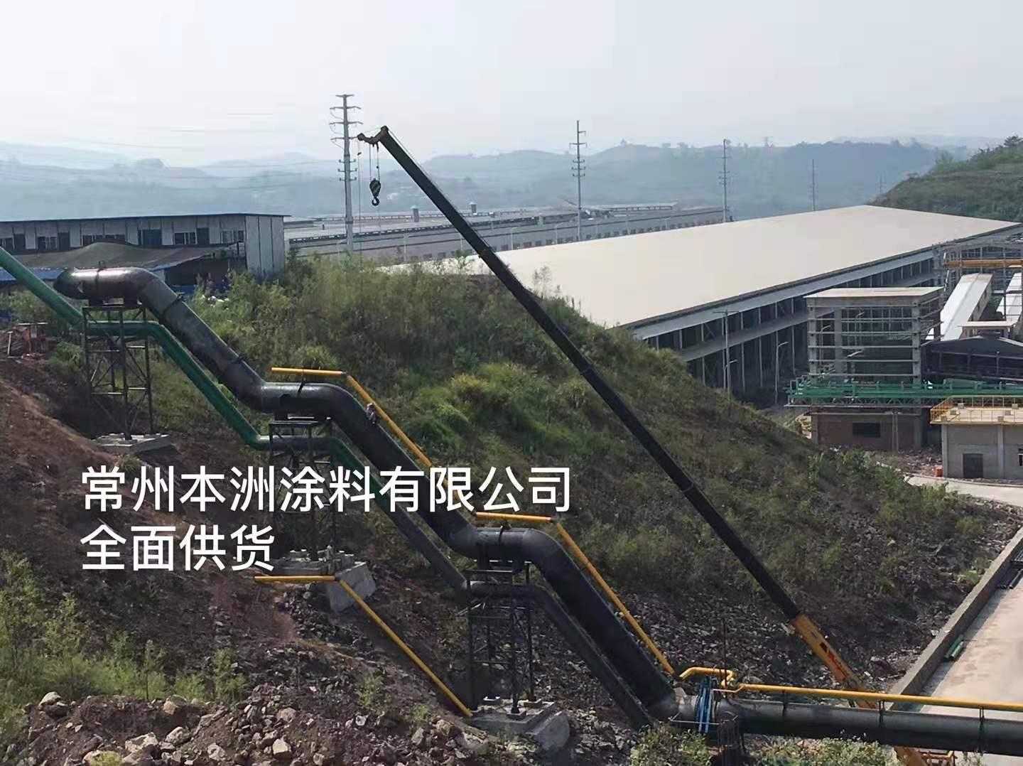常州本洲涂料有限公司6.jpg