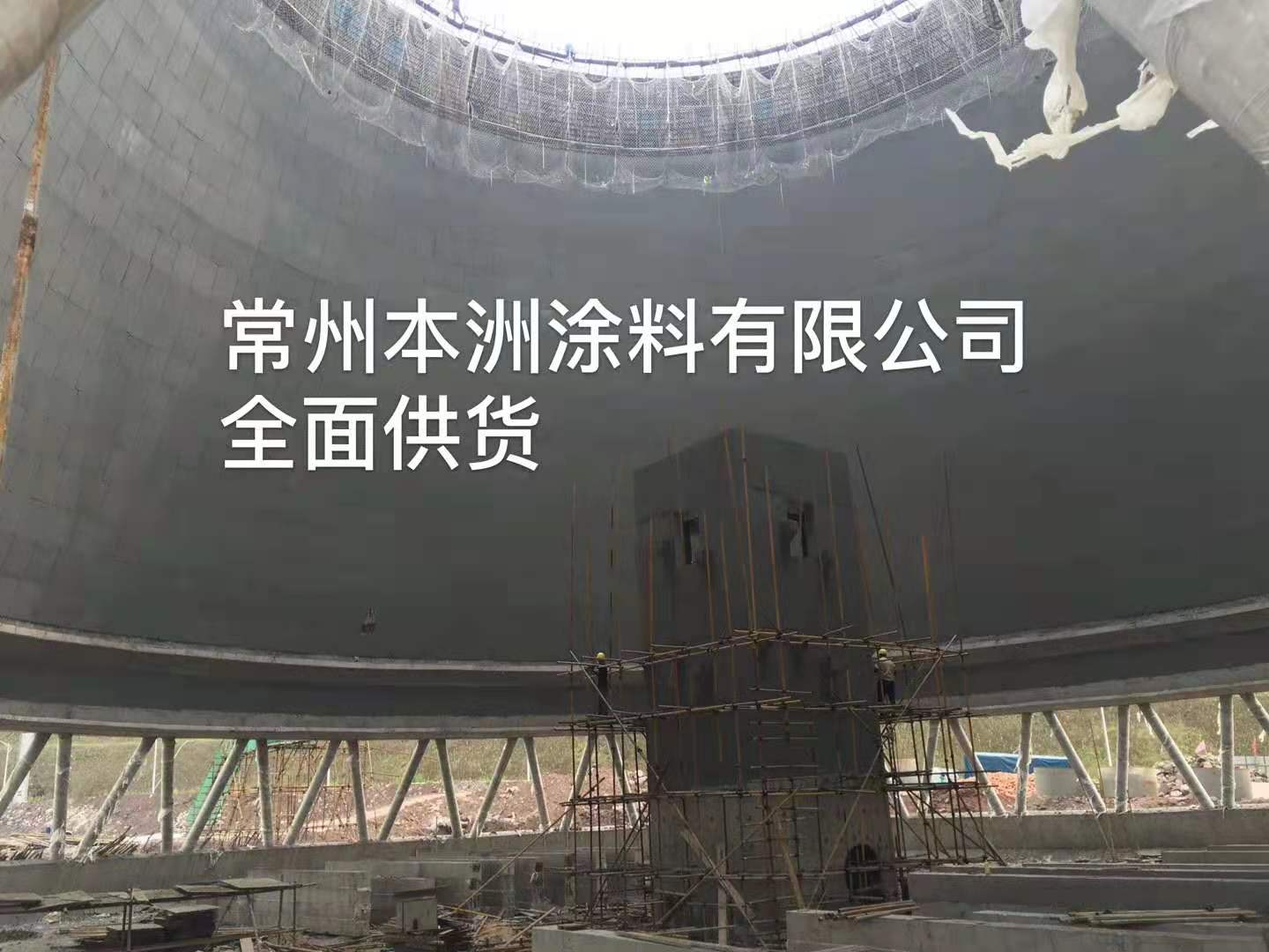 常州本洲涂料有限公司10.jpg