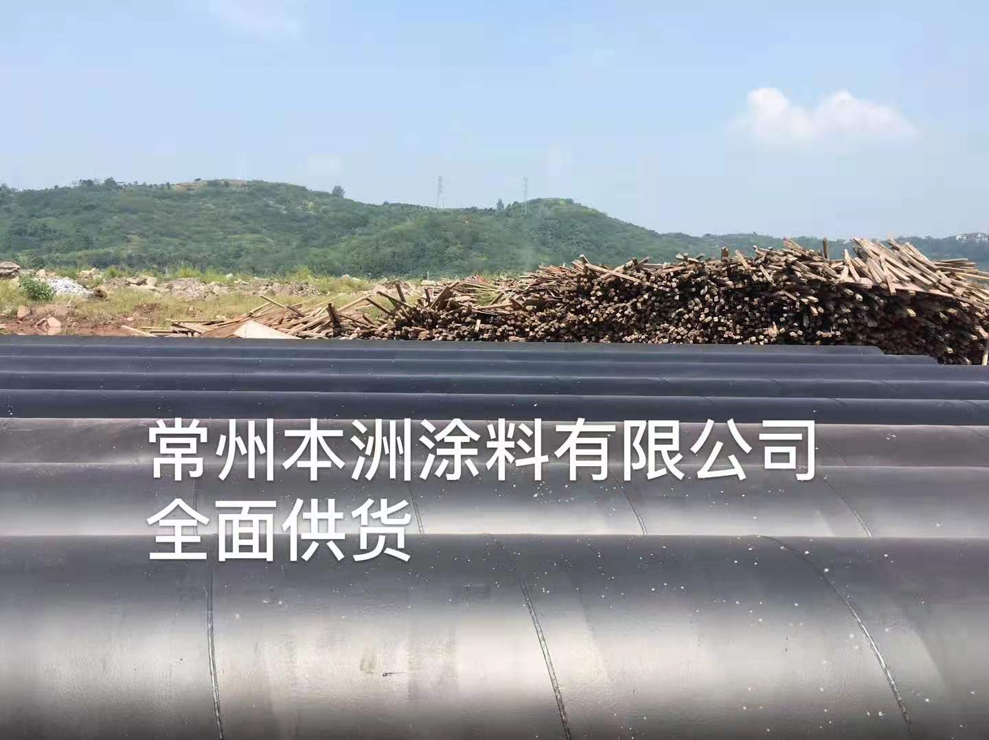 常州本洲涂料有限公司8.jpg